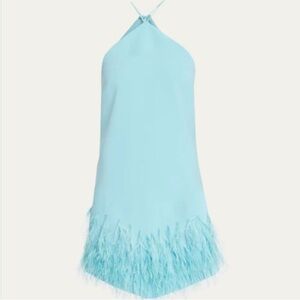 Aqua Blue Feathered Dress